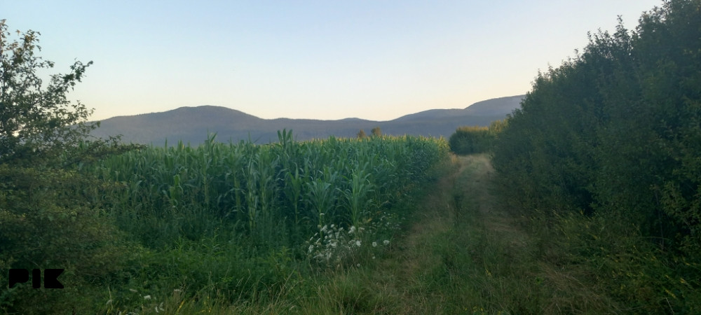 Potraznja zemljišta za korištenje iznajmljivanje