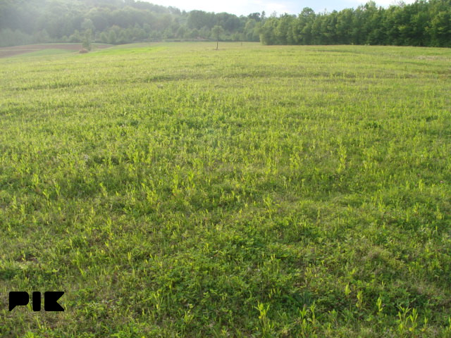 Na prodaju zemljište od 29.036 m2 - Krčmarice, Banja Luka 3