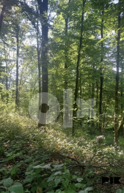 Zemljište Slatina Banja Luka 6200m2