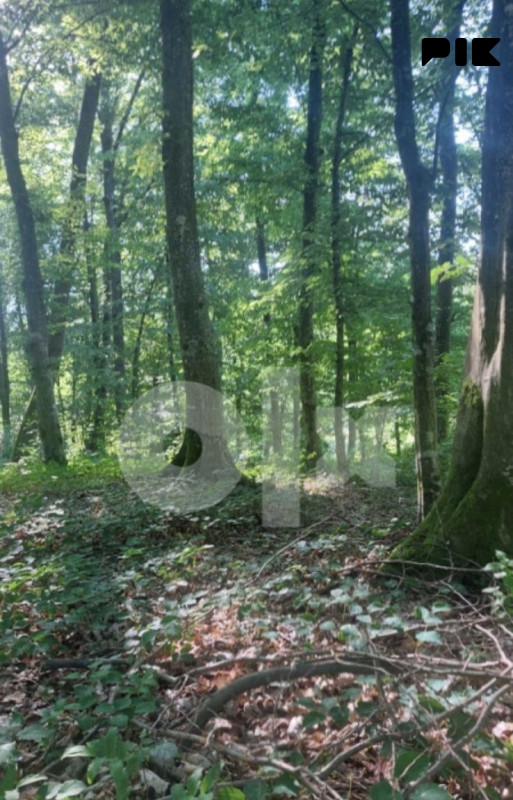Zemljište Slatina Banja Luka 6200m2 3