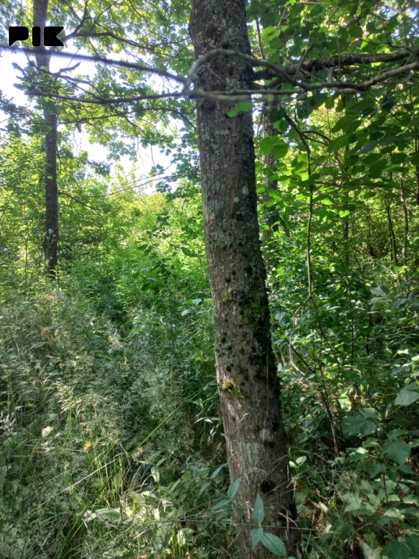 Zemljište Kozarska Dubica 2
