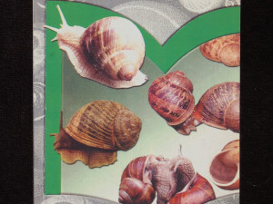 "Uzgoj puževa" - Borislav Volčević